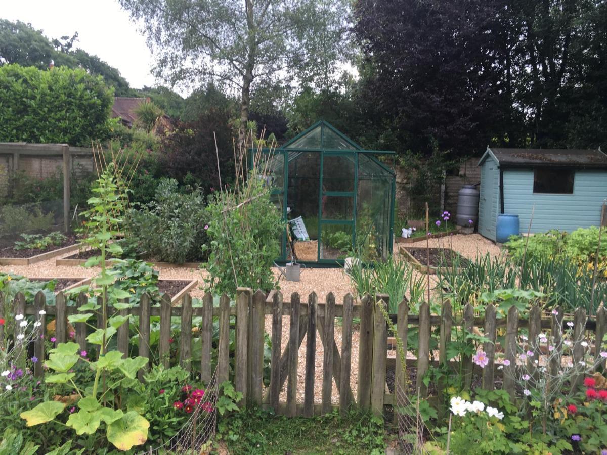 Fernwood Bed & Breakfast Ringwood Bagian luar foto