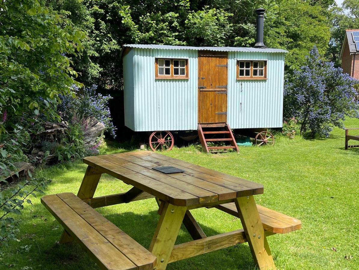 Fernwood Bed & Breakfast Ringwood Bagian luar foto