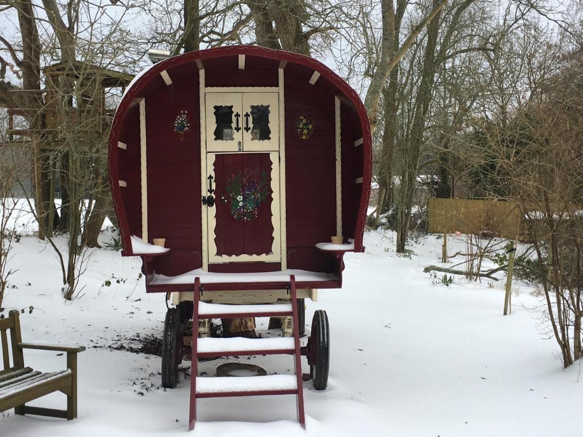 Fernwood Bed & Breakfast Ringwood Bagian luar foto