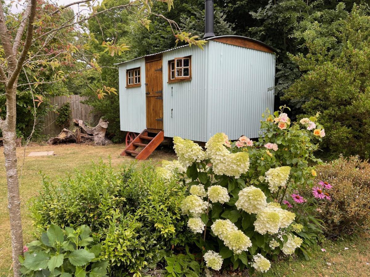 Fernwood Bed & Breakfast Ringwood Bagian luar foto