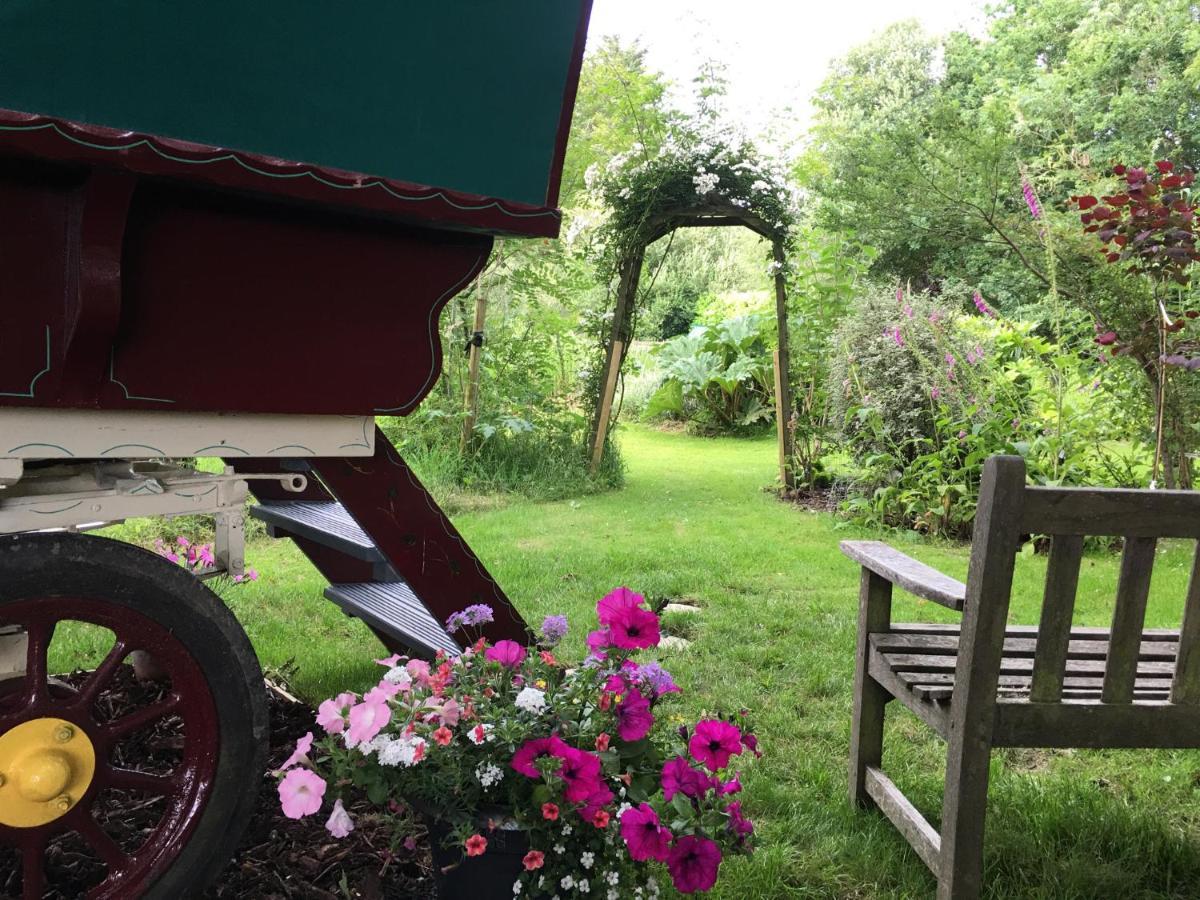 Fernwood Bed & Breakfast Ringwood Bagian luar foto