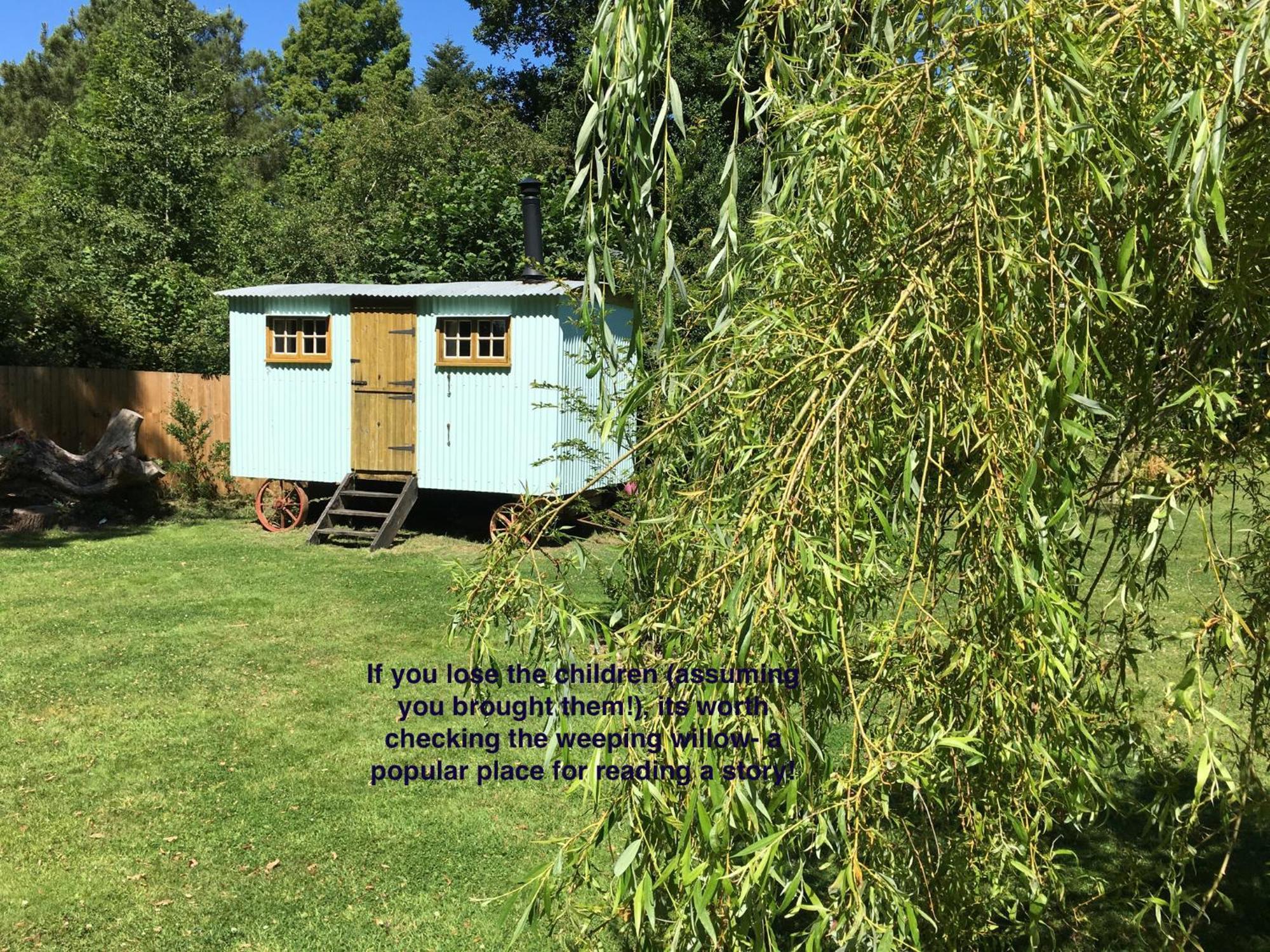 Fernwood Bed & Breakfast Ringwood Bagian luar foto